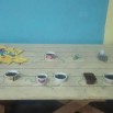 IMG_20240409_173057_514.jpg