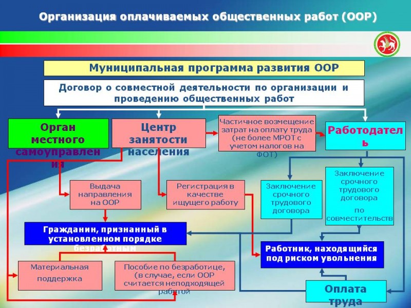 Деятельность общественных организаций примеры