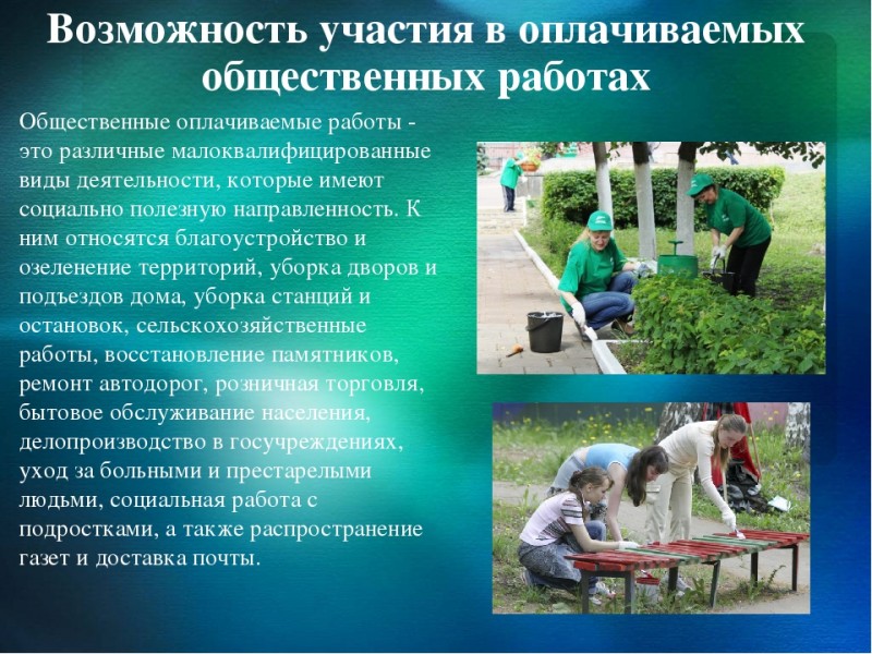 Деятельность общественных организаций примеры