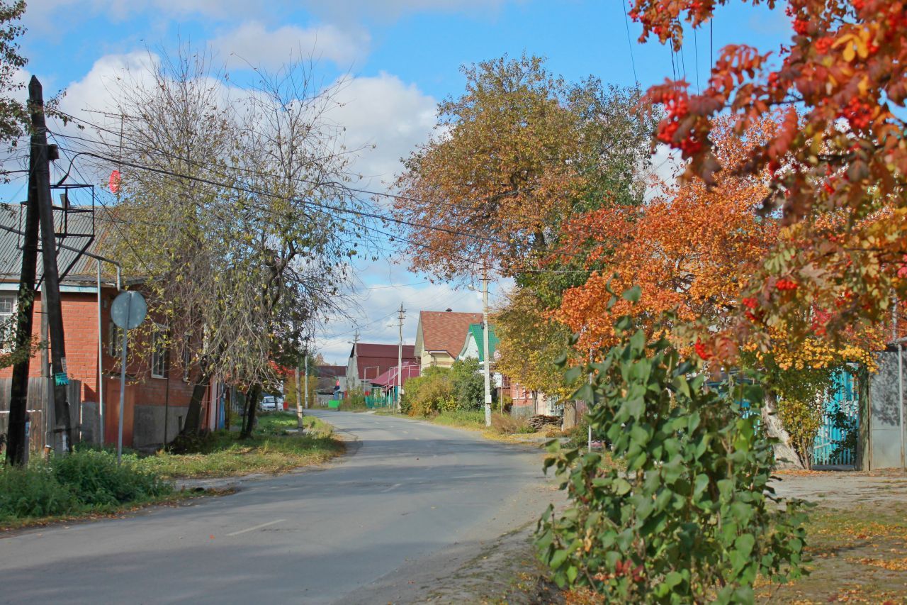 1.1. Сыромолотова.jpg