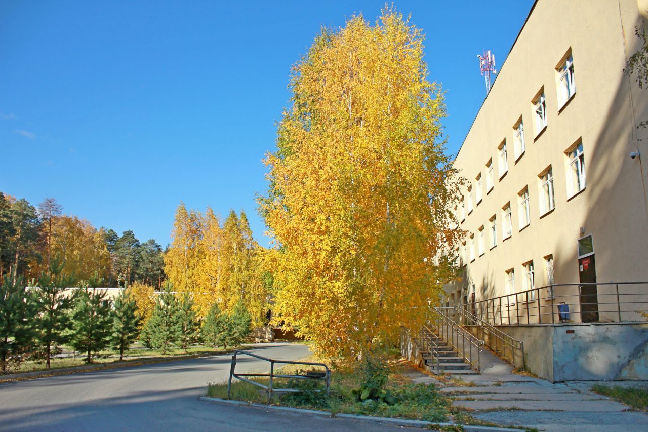 19 - Инфекционка.jpg