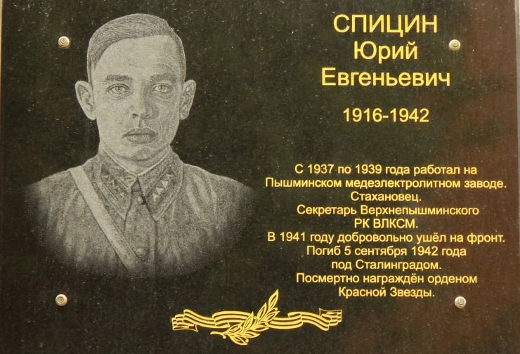 1 - Спицина.jpg
