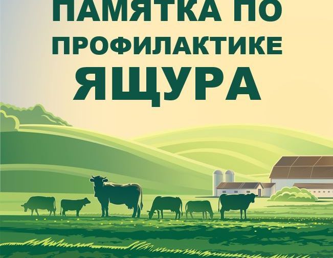 ящур.jpg