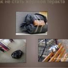 0c9f4fb94ab7d00d79763048c1ba4177.jpg