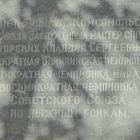 21 - Боярских.jpg