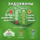 эндорфины.png