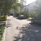c53cf1514323e6502b123ce6bd82acb2.jpg
