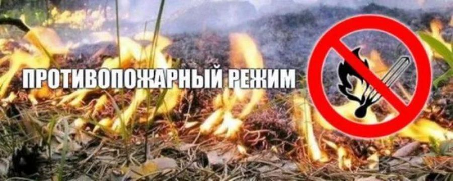 противопожарный режим.jpg