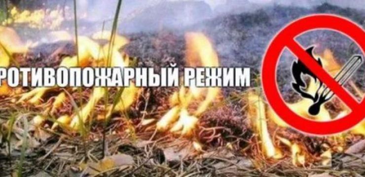 противопожарный режим.jpg