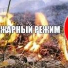 противопожарный режим.jpg
