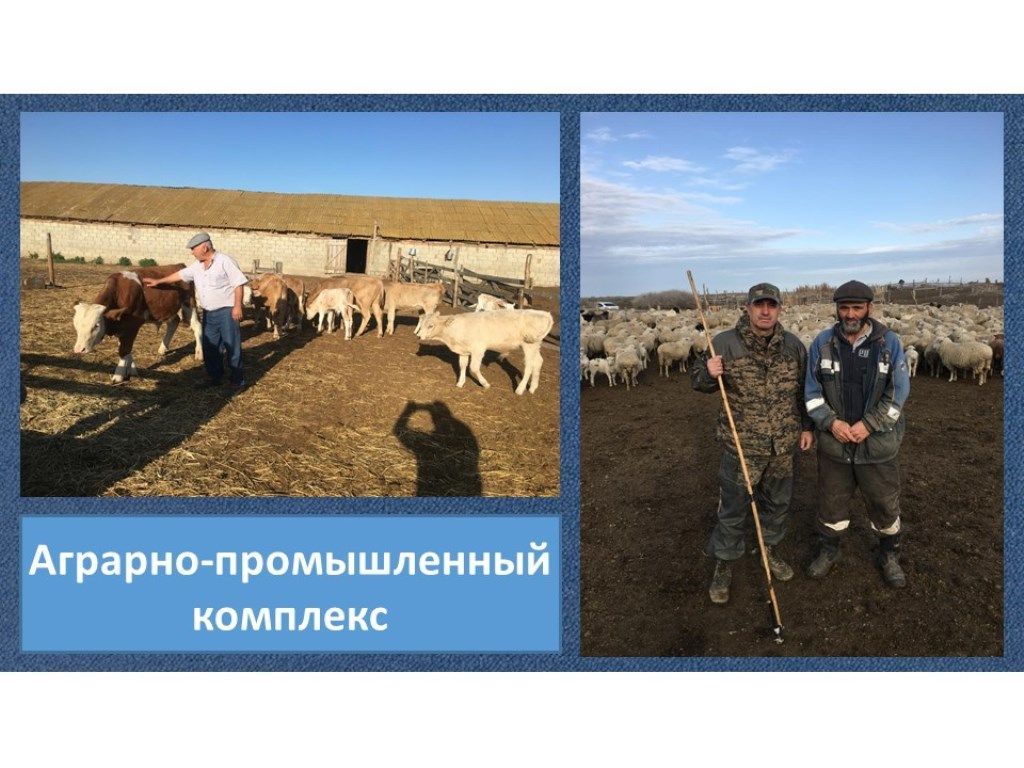 Слайд7.jpg
