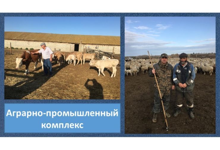 Слайд7.jpg