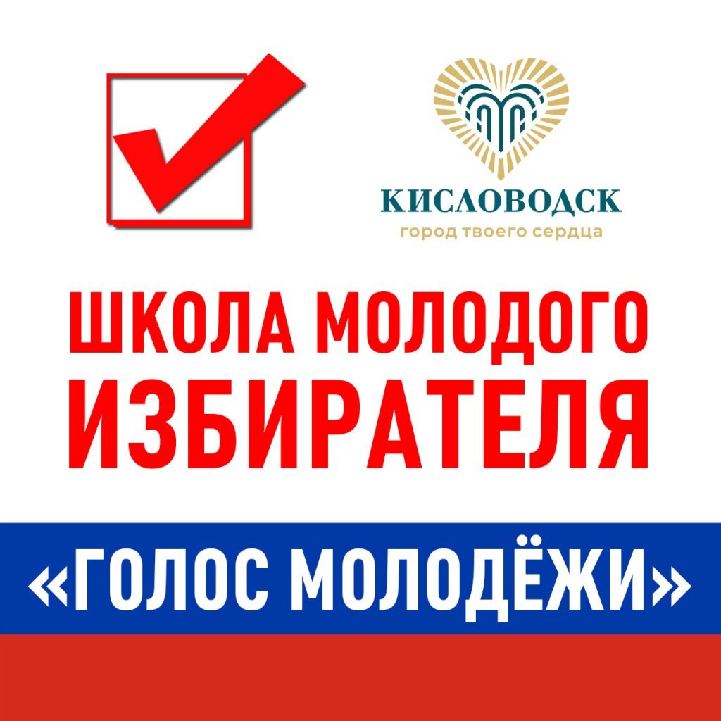 школа молодого избирателя.jpeg