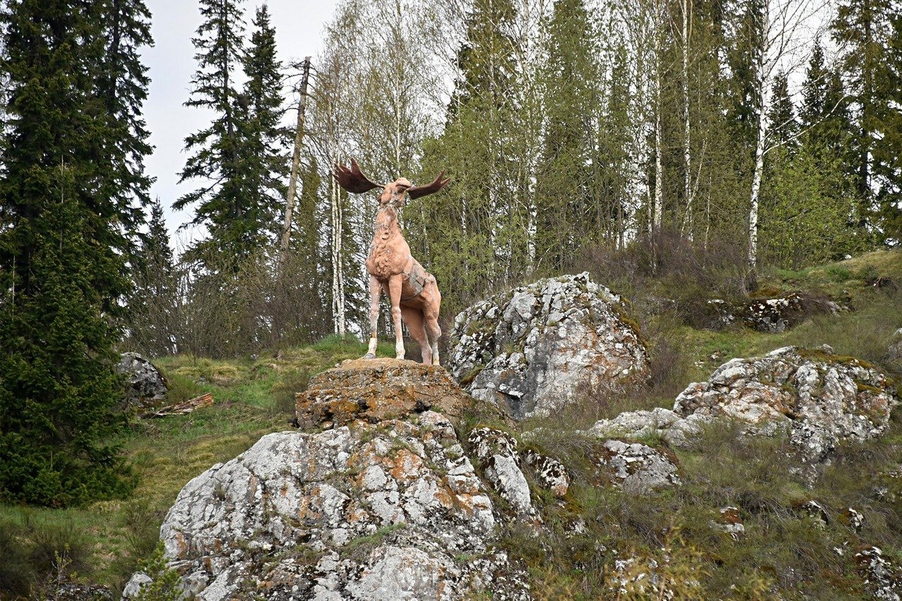 олень.jpeg