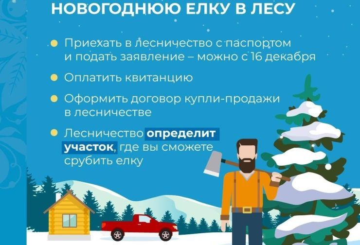 ёлочка.jpg