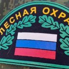 бзпснст1.jpeg