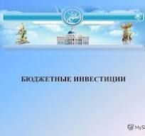 бюджетные инвестиции.jpg