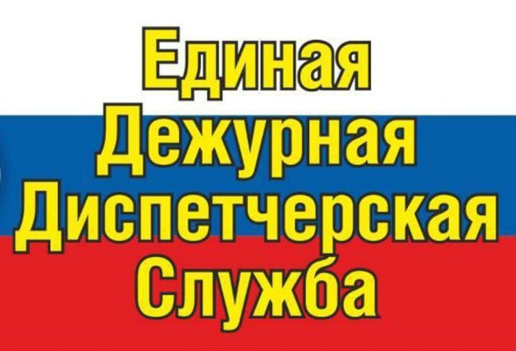 290420212.jpg