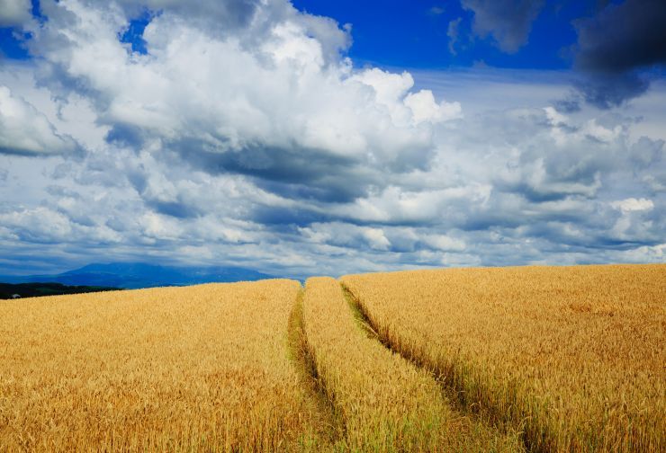earth-field-57927.jpg