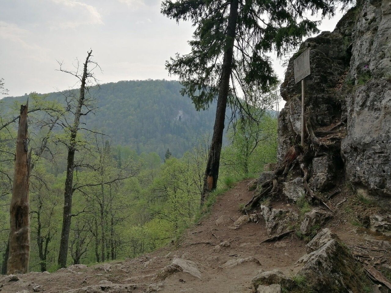 original (1).jpg